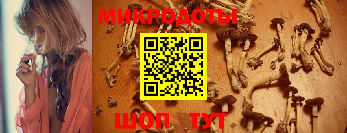 Псилоцибиновые грибы мухоморы Азов